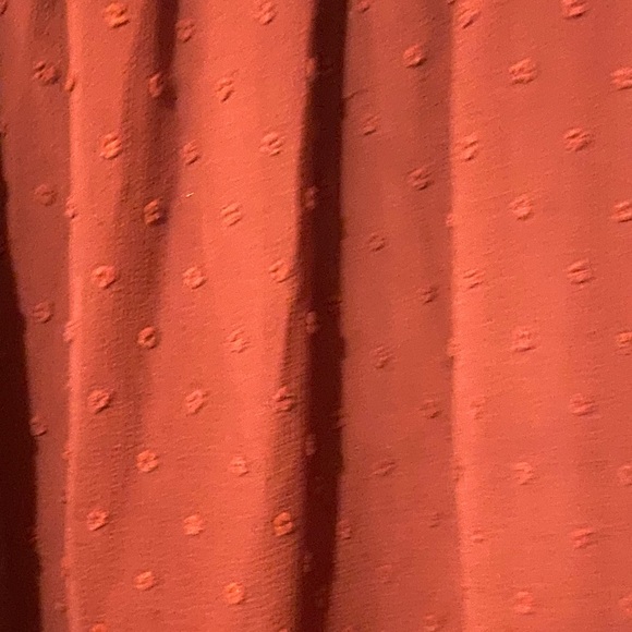 Chic Rust Ruffle Sleeve Blouse - Picture 5 of 5